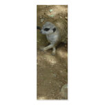 Meerkat Bookmark business cards