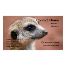 Meerkat Business Card