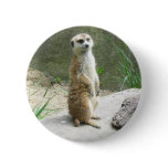 Meerkat Button