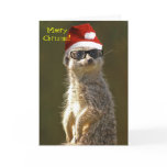   Meerkat Christmas Card