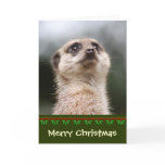 Meerkat Christmas Card