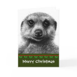 Meerkat Christmas Card
