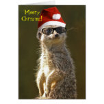   Meerkat Christmas Card