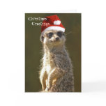 Meerkat Christmas Greetings Card