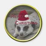 Meerkat Christmas Magnet