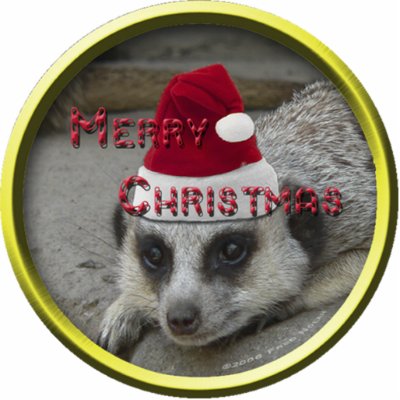Meerkat Christmas Ornament Acrylic Cut Out