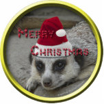 Meerkat Christmas Ornament Acrylic Cut Out