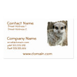 Meerkat Face Business Card