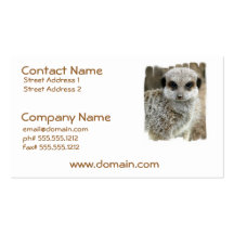 Meerkat Face Business Card