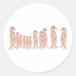 Meerkat Family Sticker