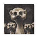 Meerkat fridge magnet