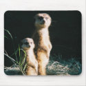 Meerkat Friends Mousepad