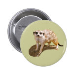 Meerkat Gift Button