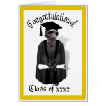 Meerkat Graduate W/Grey Gown & Black Sash Cards