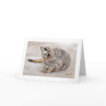 meerkat greeting card