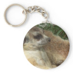 Meerkat Habitat Keychain