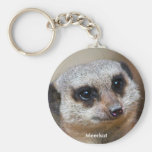 Meerkat Key Chain