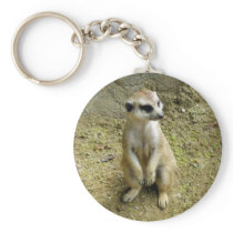 Meerkat Keychains