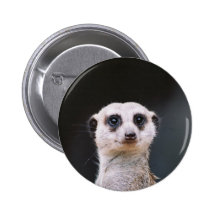 Meerkat Lookout Buttons