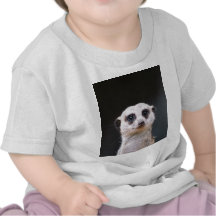 Meerkat Lookout T-shirt