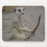 Meerkat Mouse Mats