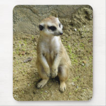 Meerkat Mouse Pad