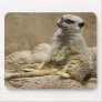 Meerkat Mousepad