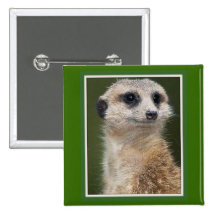 Meerkat on the look out pin
