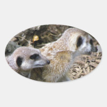 Meerkat Oval Sticker