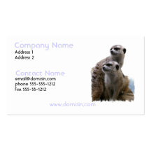 Meerkat Pair Business Card