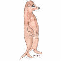 Meerkat Photo Sculpture photo sculptures