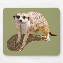Meerkat Picture Mouse Pad