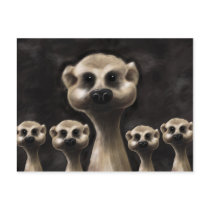 Meerkat postcard