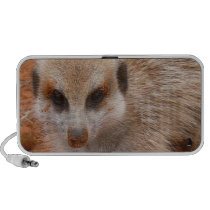 Meerkat Speaker speakers