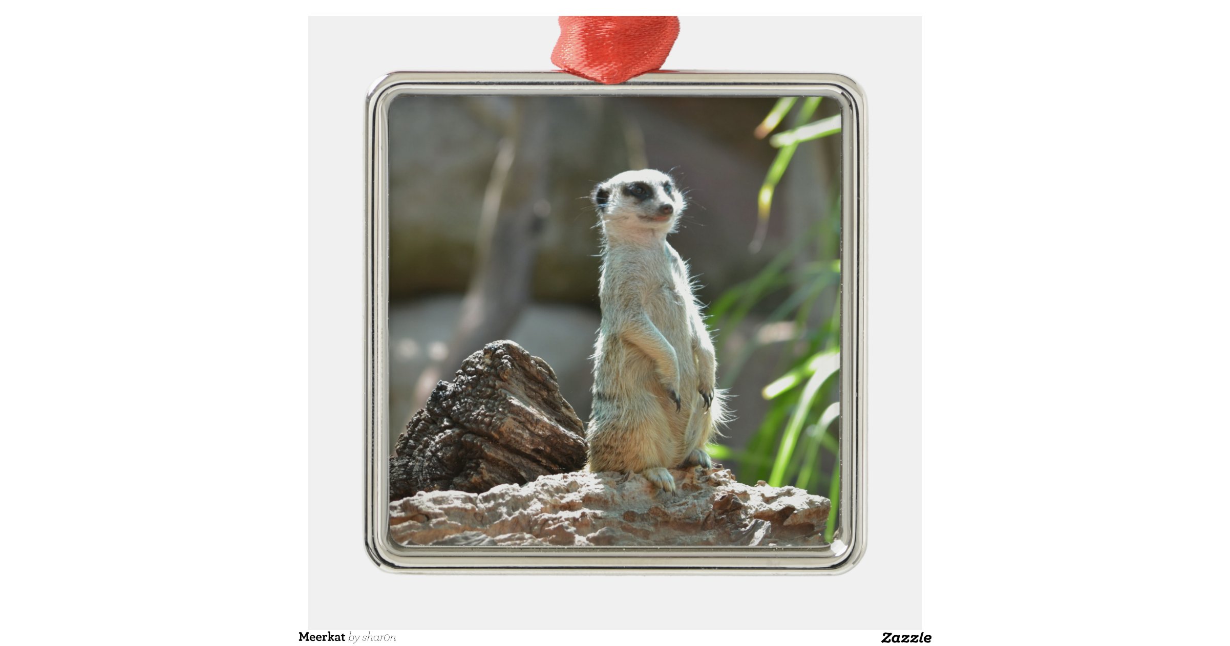 meerkat square metal christmas ornament zazzle meerkat square metal christmas ornament zazzle