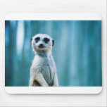 Meerkat Staredown Mouse Mats