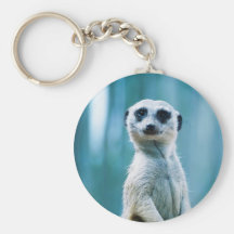 Meerkat Staredown - The Keychain