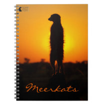 Meerkat Sunset - Notebook notebooks