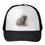 meerkat trucker hats
