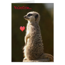 Meerkat Valentine Card 005