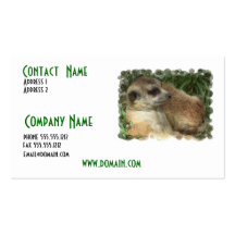 Meerkate Habitat Business Card