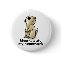 Meerkats ate my homework