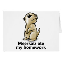 Meerkats ate my homework
