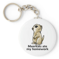 Meerkats ate my homework