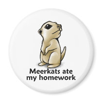 Meerkats ate my homework