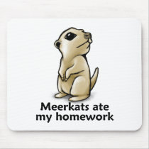 Meerkats ate my homework