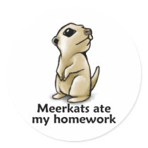 Meerkats ate my homework