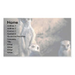 Meerkats Business Card Templates