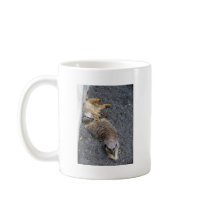 Meerkats Coffee Mug