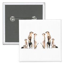 Meerkats Pinback Buttons